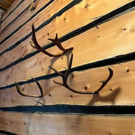 Rauhallinen Kelohuoneisto Laehellae Palveluita, Peacefull Log At Yllaes *